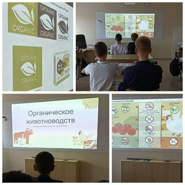 Фонд «Органика» проводит региональный конкурс на знание темы органической продукции среди школьников 5-7 и 8-9 классов.